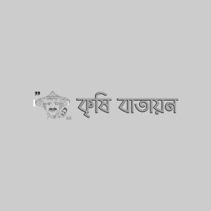 আলতাপেটি