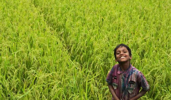 কেমন হবে আগামীর কৃষি: